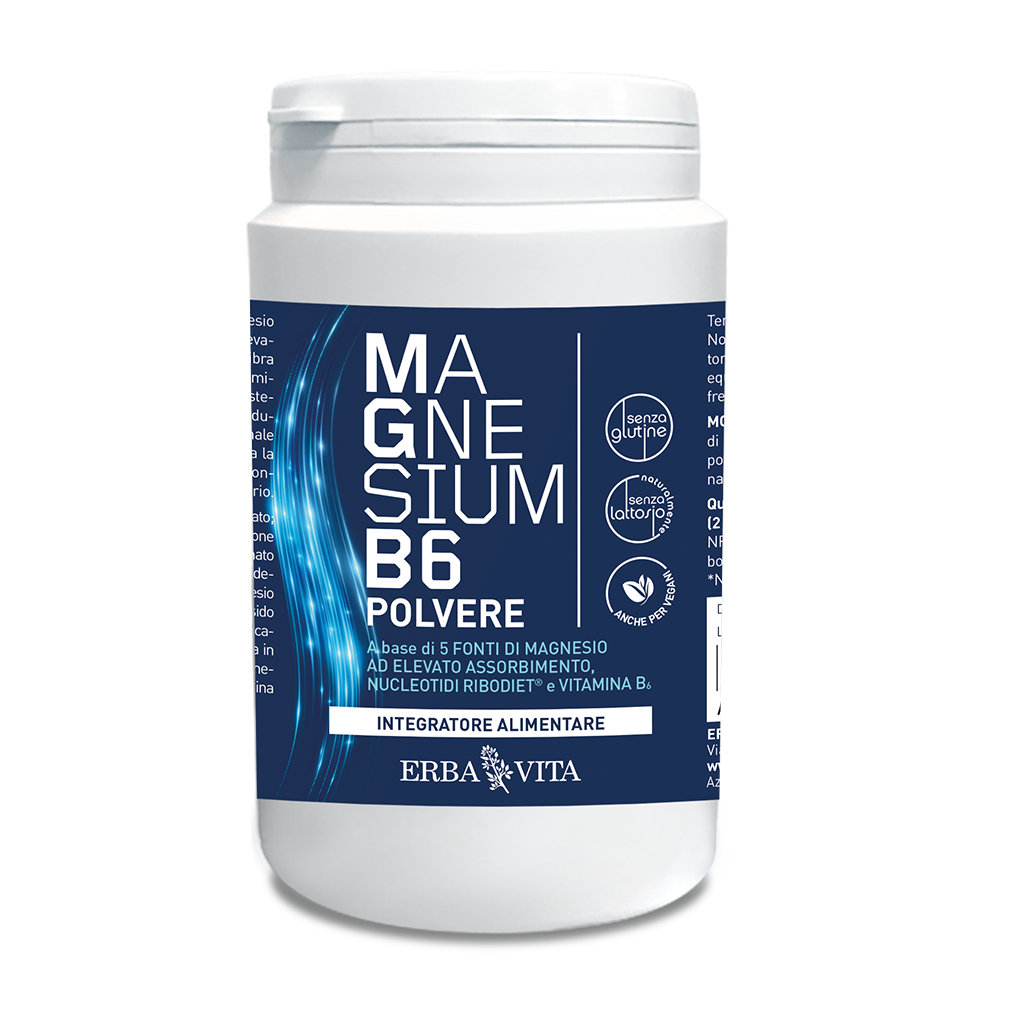 MAGNESIUM B6 POLVERE