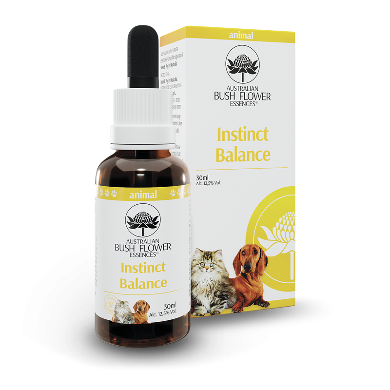 ANIMAL INSTINCT BALANCE AUSTRALIAN BUSH FLOWER 30ml
