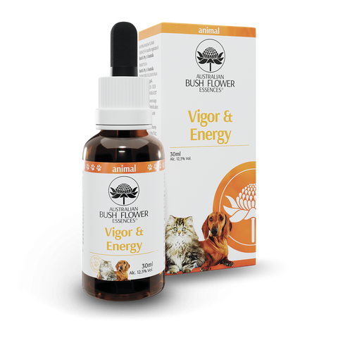 ANIMAL VIGOR & ENERGY AUSTRALIAN BUSH FLOWER 30ml
